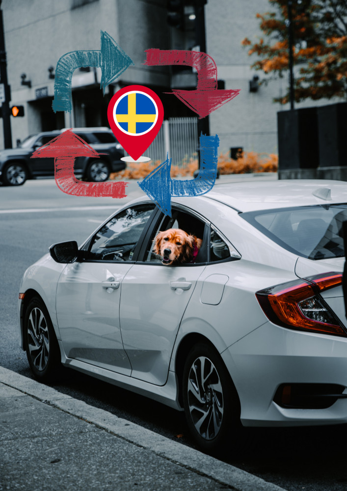 Sådan tager du nemt din hund med til Sverige i 2022