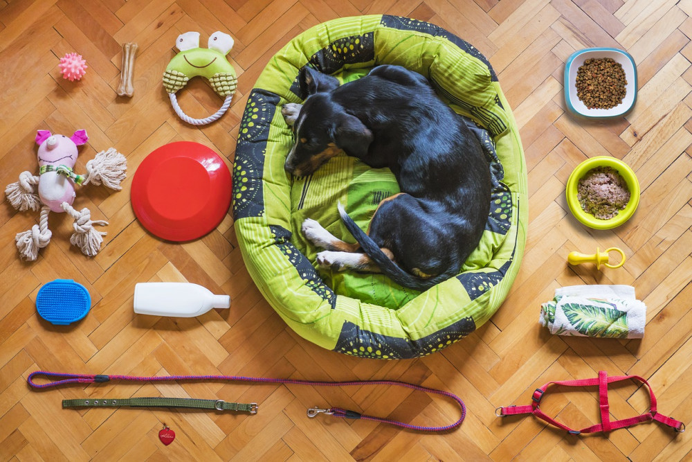 En guide til hundeejere om træning, sundhed og pleje