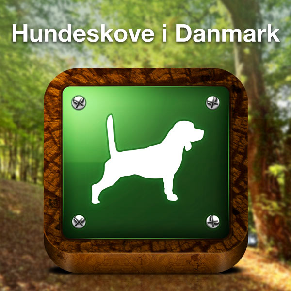  De bedste hundeforsikringer i Danmark 2024